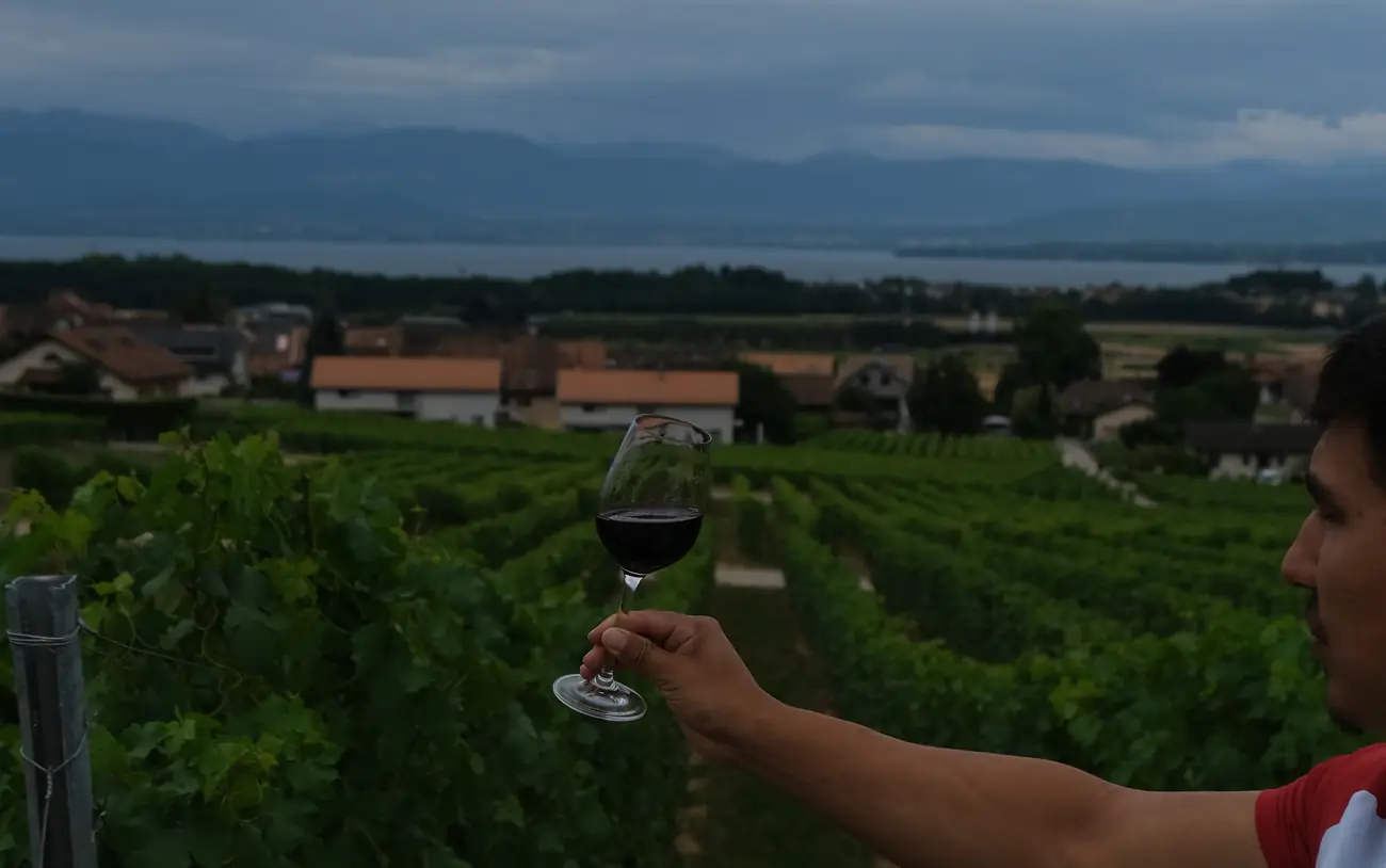 Loïc Parmelin lève un verre au-dessus des rangs, le village et le Léman derrière lui